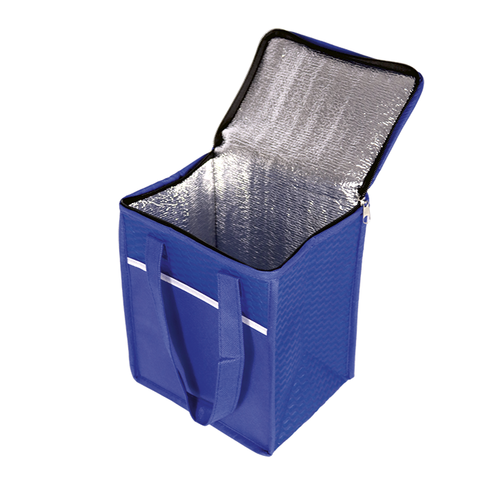 9 Can Wave Design Cooler - Barron