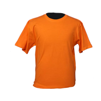 Pinnacle Crew Neck T-shirt