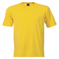 Promo Tee 145g