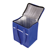 9 Can Wave Design Cooler - Barron