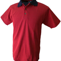 Birdseye Golfer